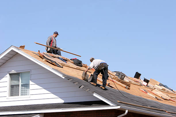 Best Steel Roofing  in Burley, WA