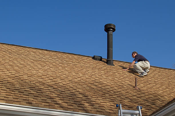 Best Roof Moss and Algae Removal  in Burley, WA